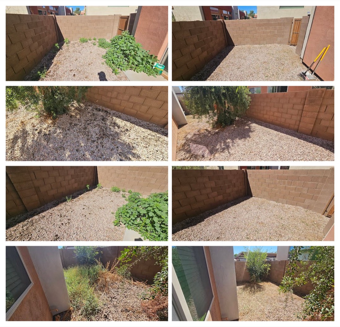 Two Chandler jobs: weeds pulled from a rock side yard, and dog waste scooped from gravel