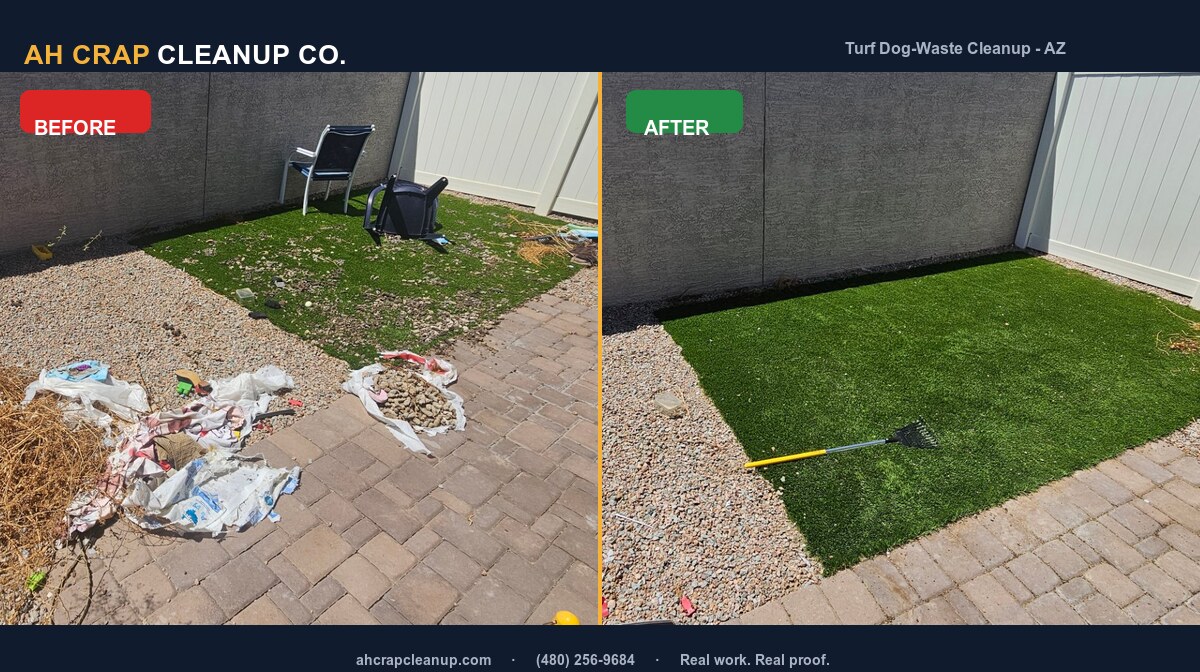 Before and after dog-waste cleanup on artificial turf in a Chandler backyard, with the turf cleared and raked