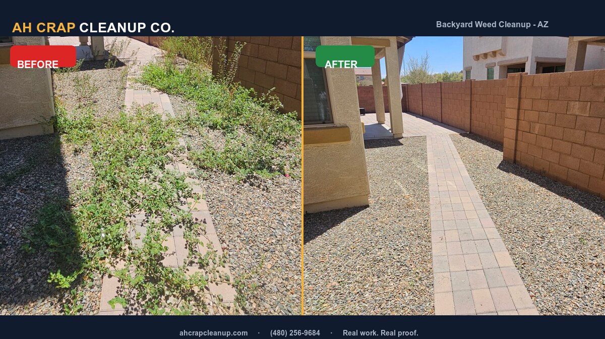 Before and after backyard weed cleanup in Chandler, Arizona, with an overgrown walkway and rock yard cleared
